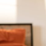 Murphy Bed - A cat sleeping on an orange bed