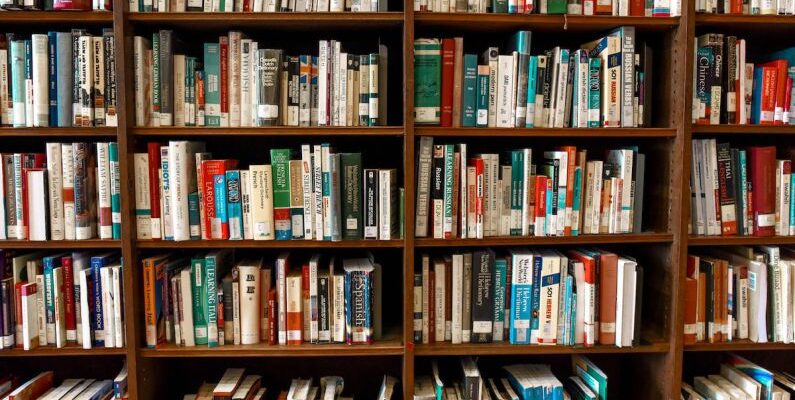 Bookshelves - Assorted Books on Book Shelves