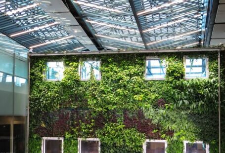 Green Wall - Photograph of plants growing on a wall