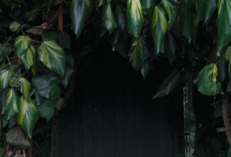 Hidden Storage - Entrance to Cellar Hidden in Bushes