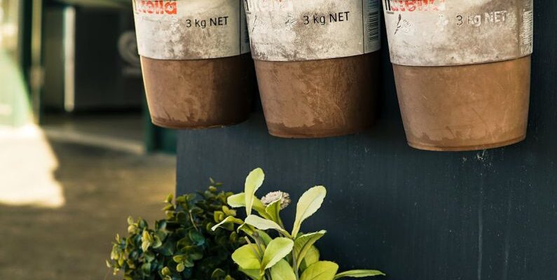 Herb Garden - Six Potted Plants Close-up Photo