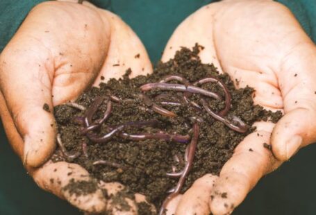 Composting - Earthworms on a Persons Hand