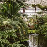 Fish Pond - Photograph of Greenhouse