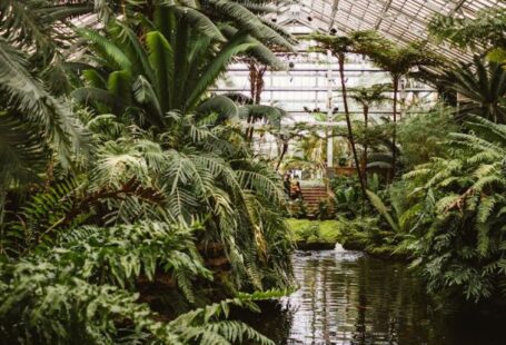 Fish Pond - Photograph of Greenhouse