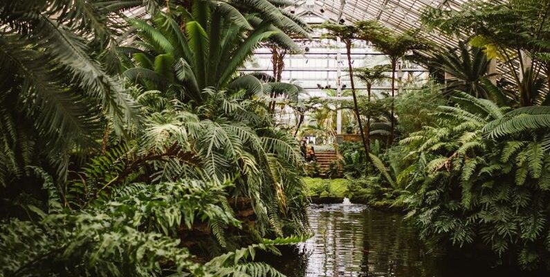 Fish Pond - Photograph of Greenhouse